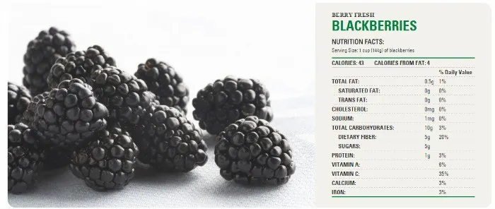 Net Carbs Blackberries
