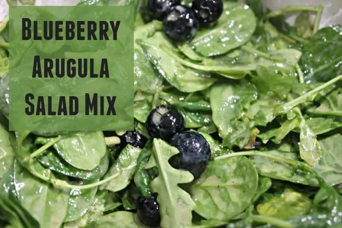 Blueberry Arugula Salad Mix