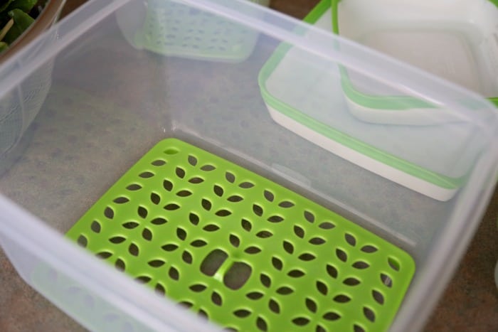 How to use Rubbermaid FreshWorks Food Storage Containers